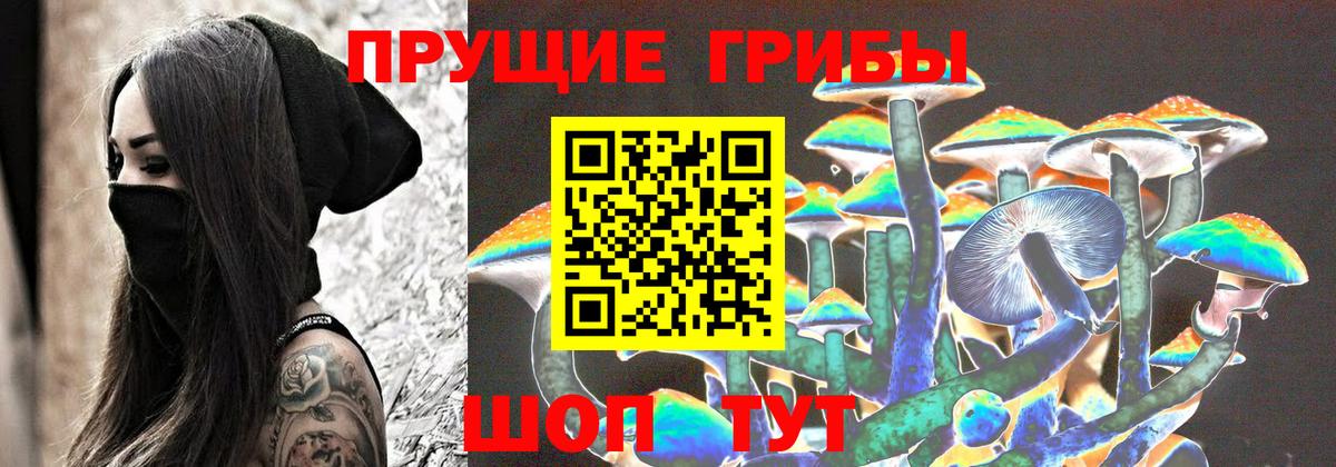 Галлюциногенные грибы прущие грибы  цена наркотик  Клинцы  Вход с VPN 